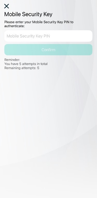 Step 4: Enter the “Mobile Security Key PIN” and click “Confirm” Screenshot