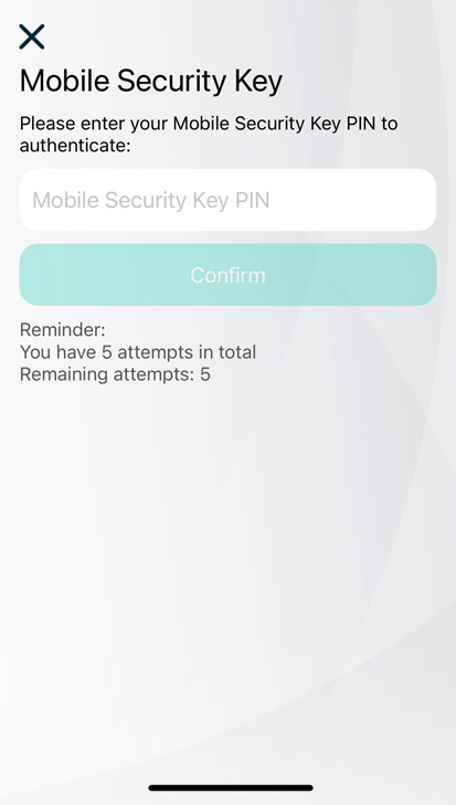 Step 2: Input Mobile Security Key
Password PIN Screenshot